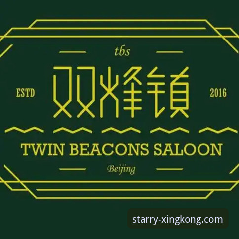 资深用户薇薇安分享：如何通过星空官网入口安全获取官方正版应用