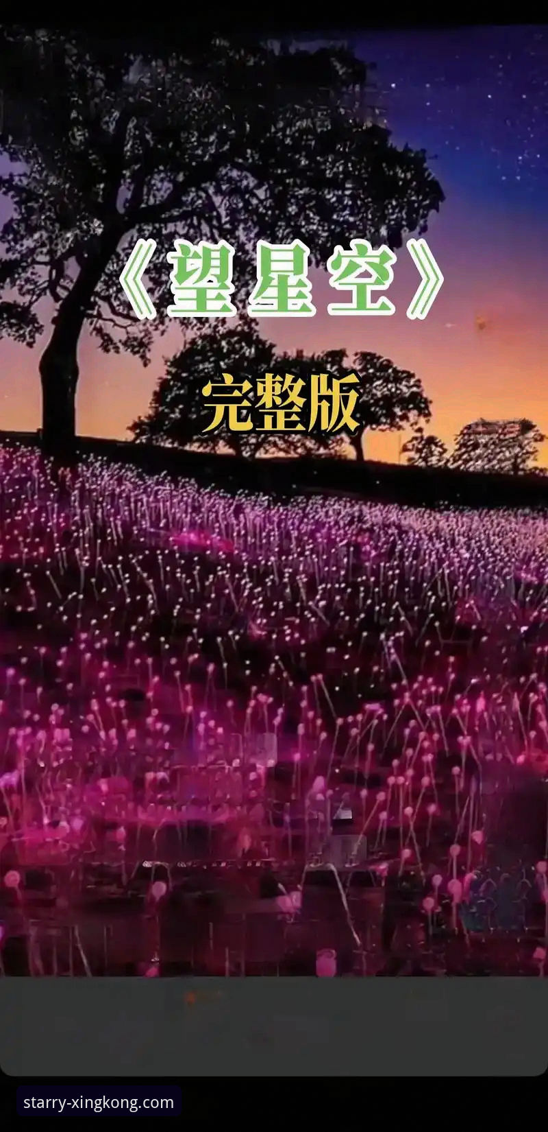 揭秘星空娱乐平台官方下载：避开陷阱，直达正版的完整指南